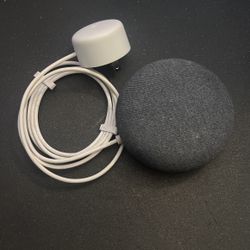 Google Echo 
