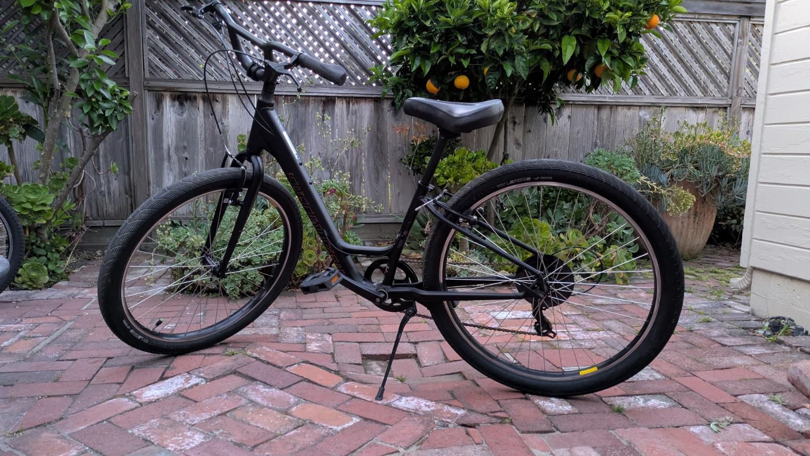 Specialized Roll — Comfortable, Stylish Cruiser!
