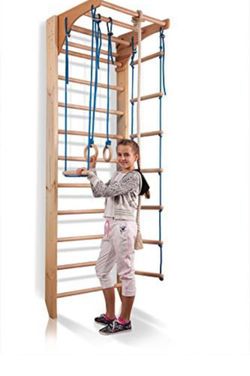 Awesome Exercise Ladder For EVERYONE