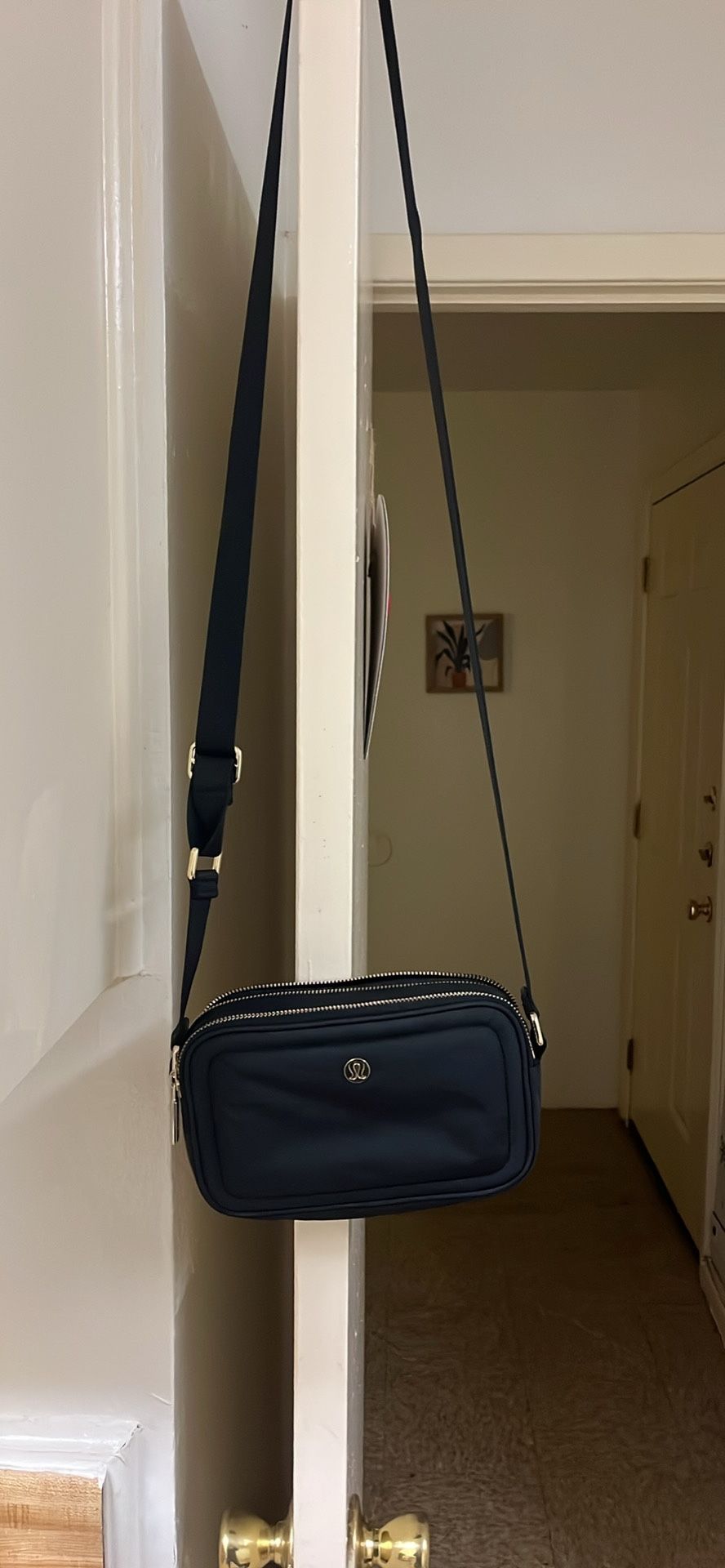 Lululemon Bag
