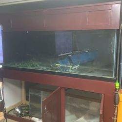 180 Gallon Fish Tank