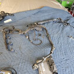 06 Honda Civic Si EFI Harness