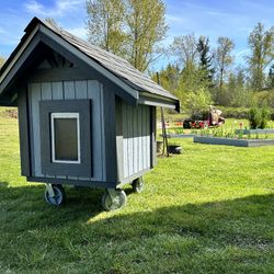 Dog House