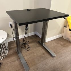Fully Standing Desk