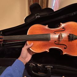 16 1/2 Viola
