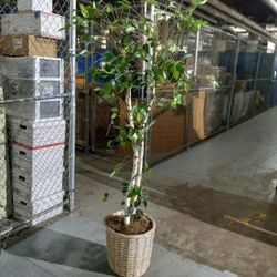 Artificial Tree