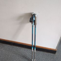 Mountain Smith Trekking Poles