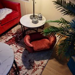 Cat  Or Small Dog Bed