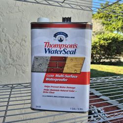 Thompsons Water Seal 1 Gallon