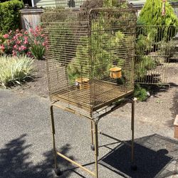Bird Cage