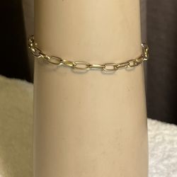 Express Gold Tone Link Bracelet