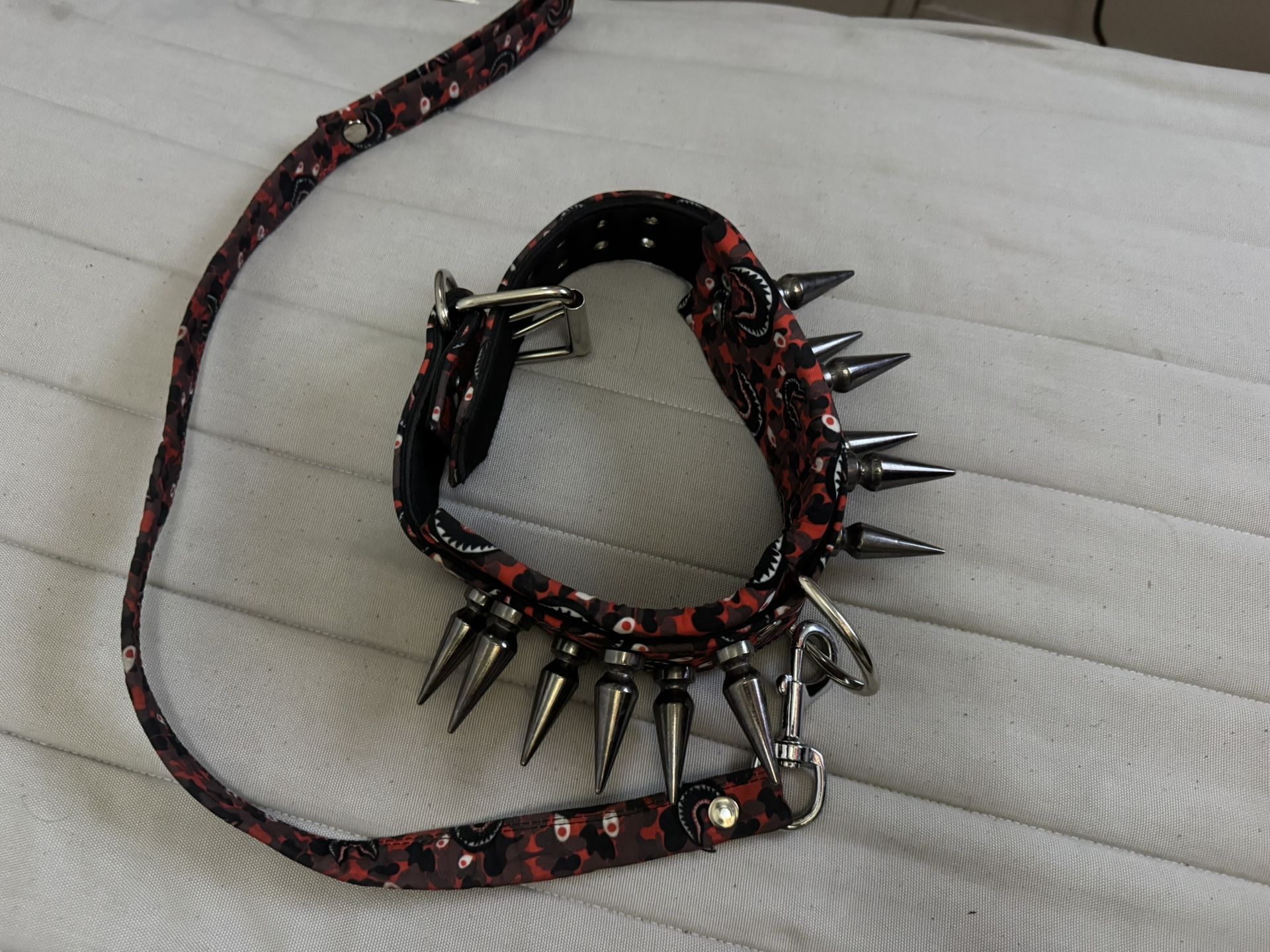Dog Leash And Collar