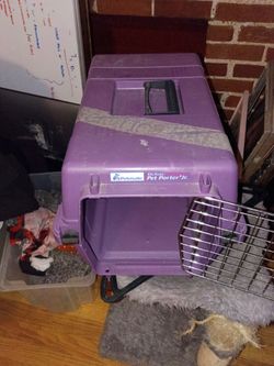 cat carrier