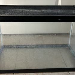 Hydroponic Plant Horticulture Terrarium  science classroom Education 