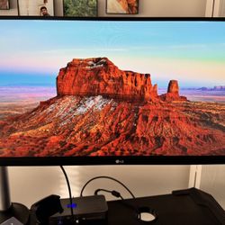 LG 29” Ultrawide Monitor – Excellent Condition | Original Box