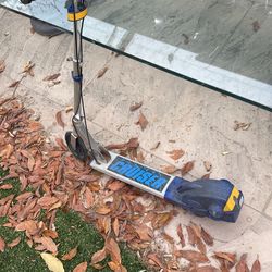 Electric Scooter