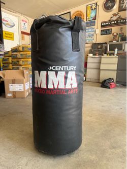 Century Punching Bag
