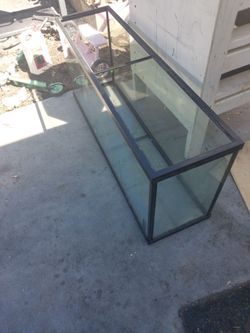 Large Glass Aquarium Tank with Black Frame