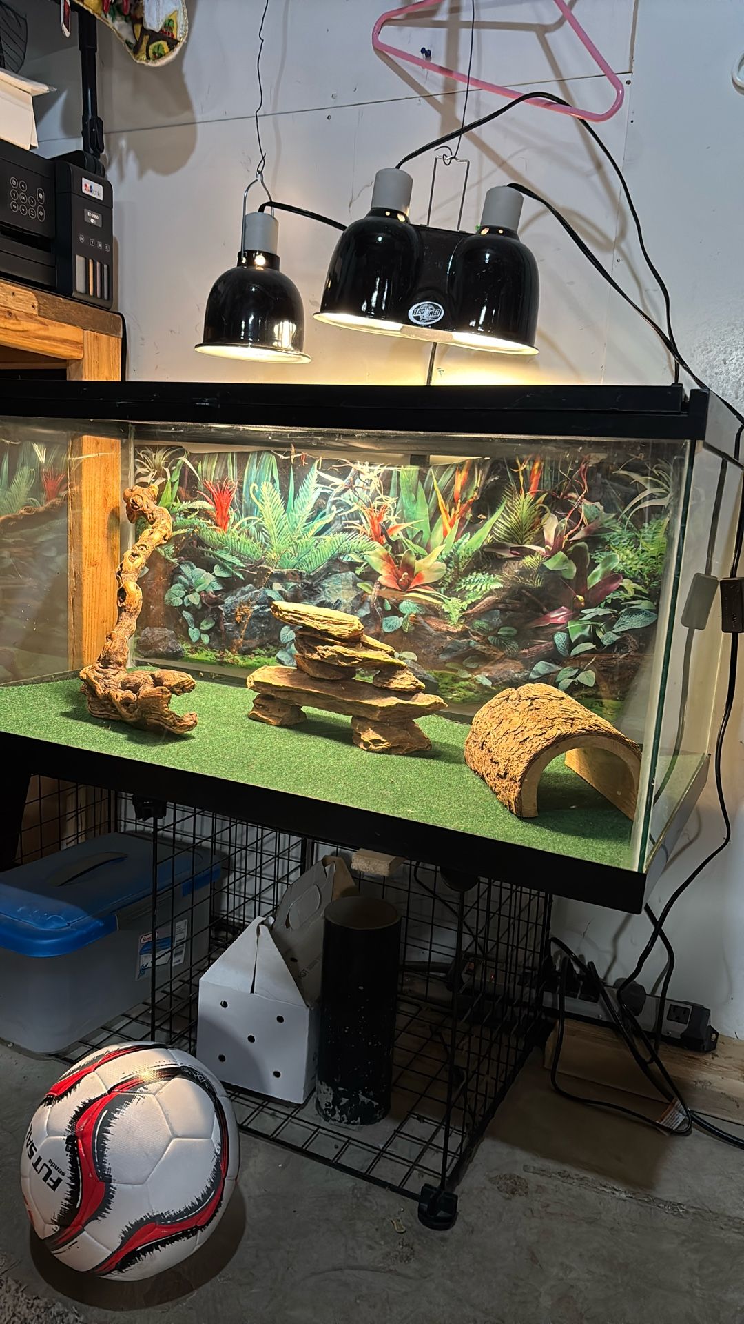 Reptile Aquarium