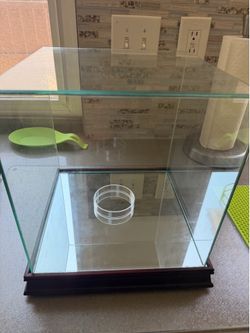 Custom Basketball/Football glass holder