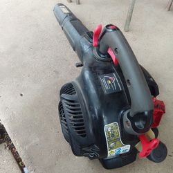 Sopladora de hojas barata $30 Dlls