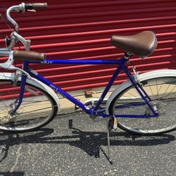 Schwinn Willy Bike Like New 