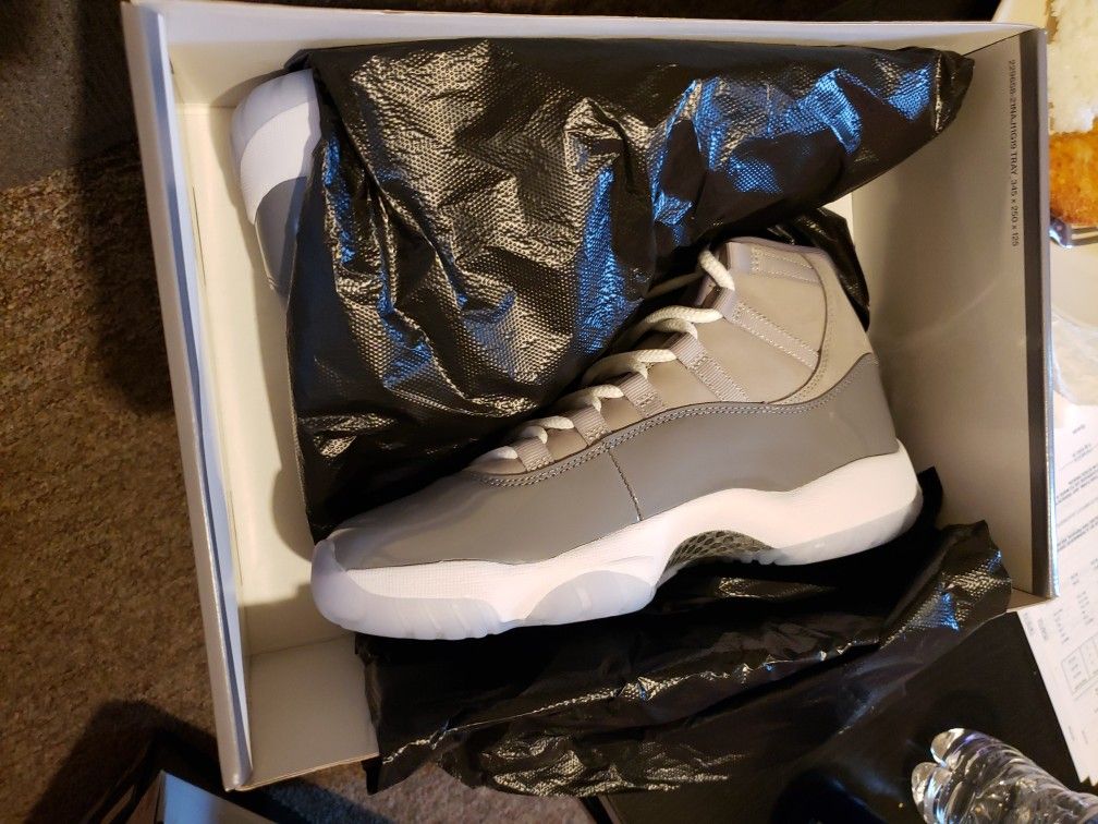 Air Jordan 11 Retro Cool Grey 2021 Size 9.5M