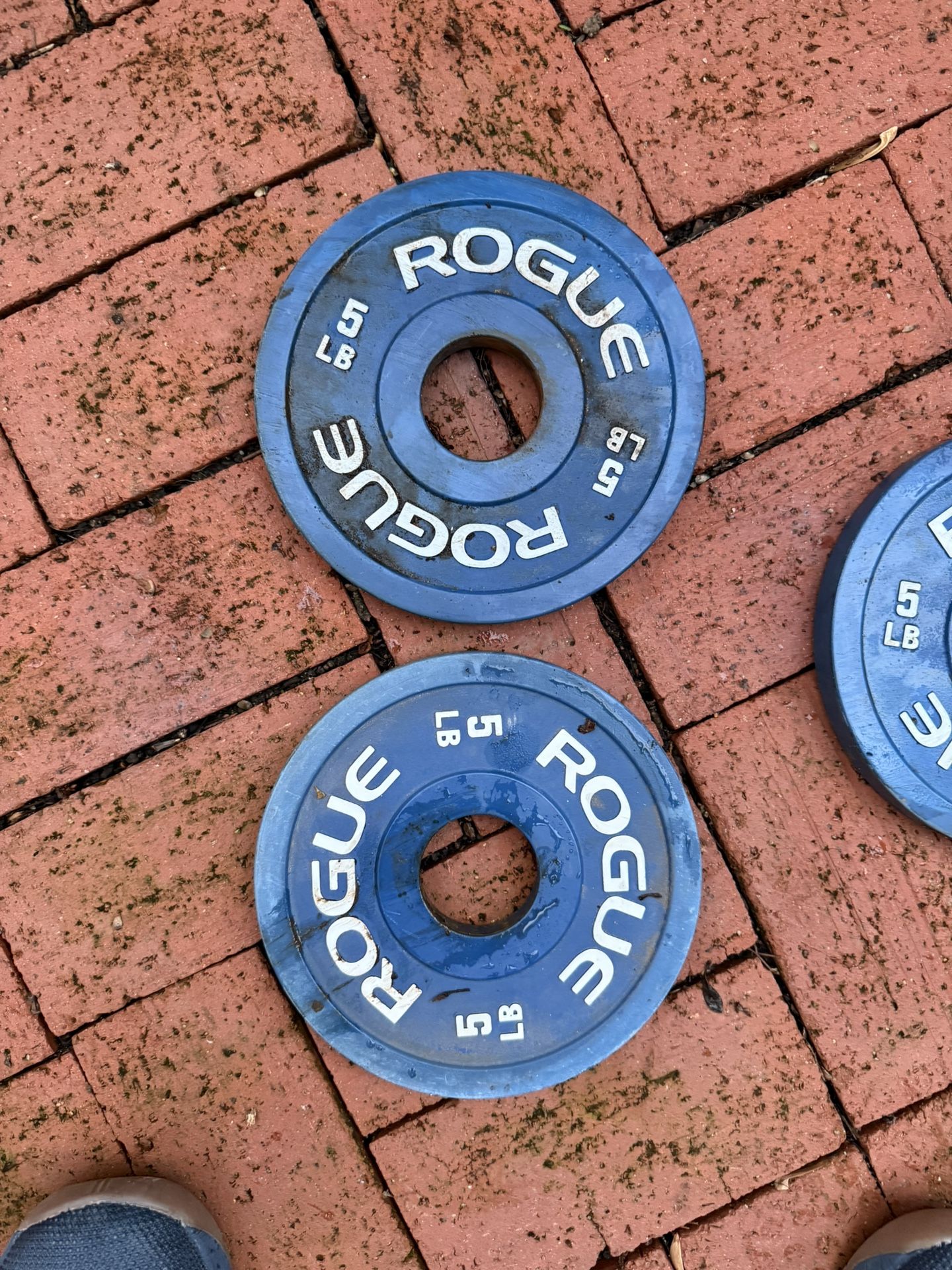 Rogue Fitness 5lb Change Plates 