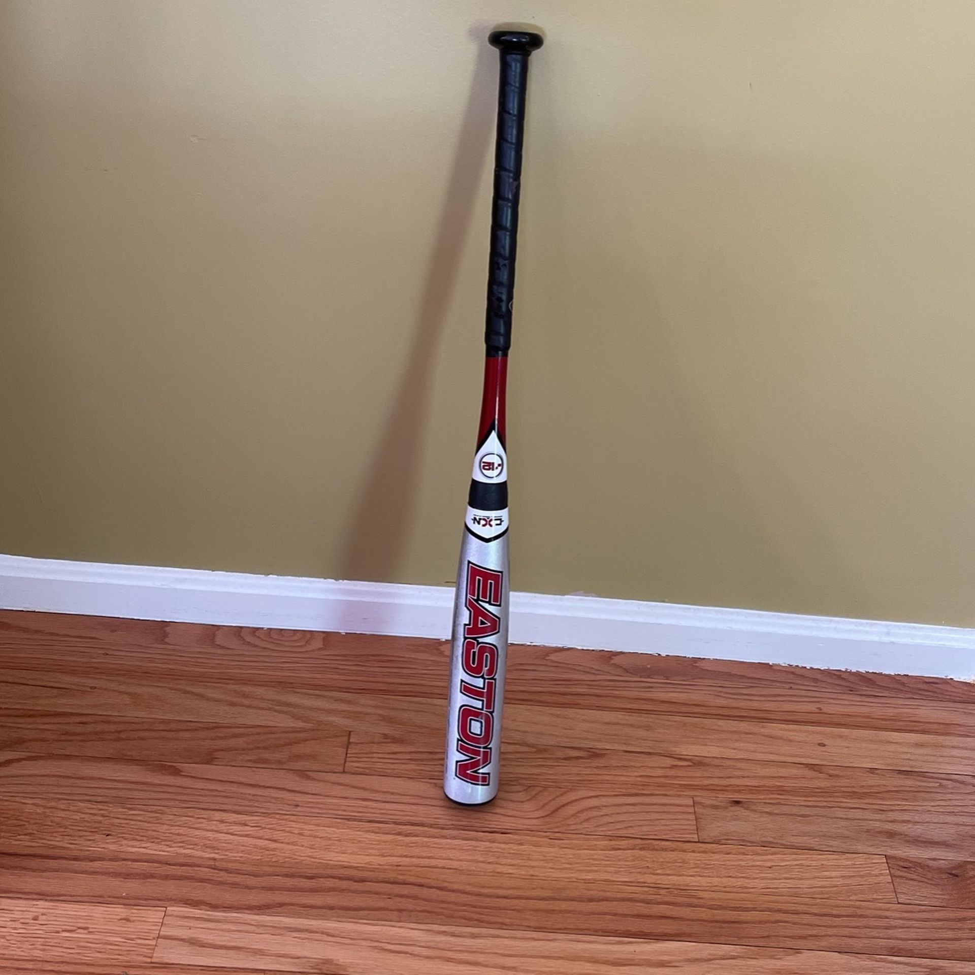 Easton Stealth CNT Baseball Bat