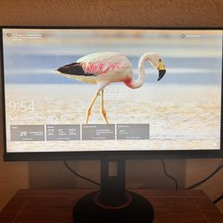 Acer 240hz 1080p Monitor