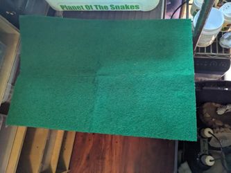 Reptile Carpet