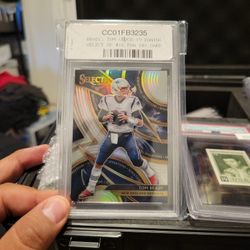 Sports Cards