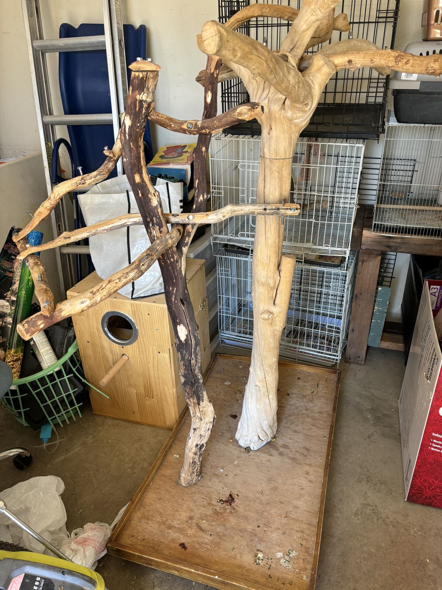 Large Parrot Perch
