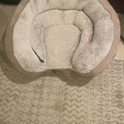 Slightest Used Large Dog Bed