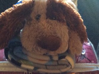 Puppy with plush blanket