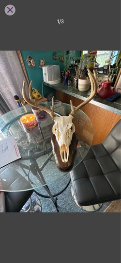 Deer antlers