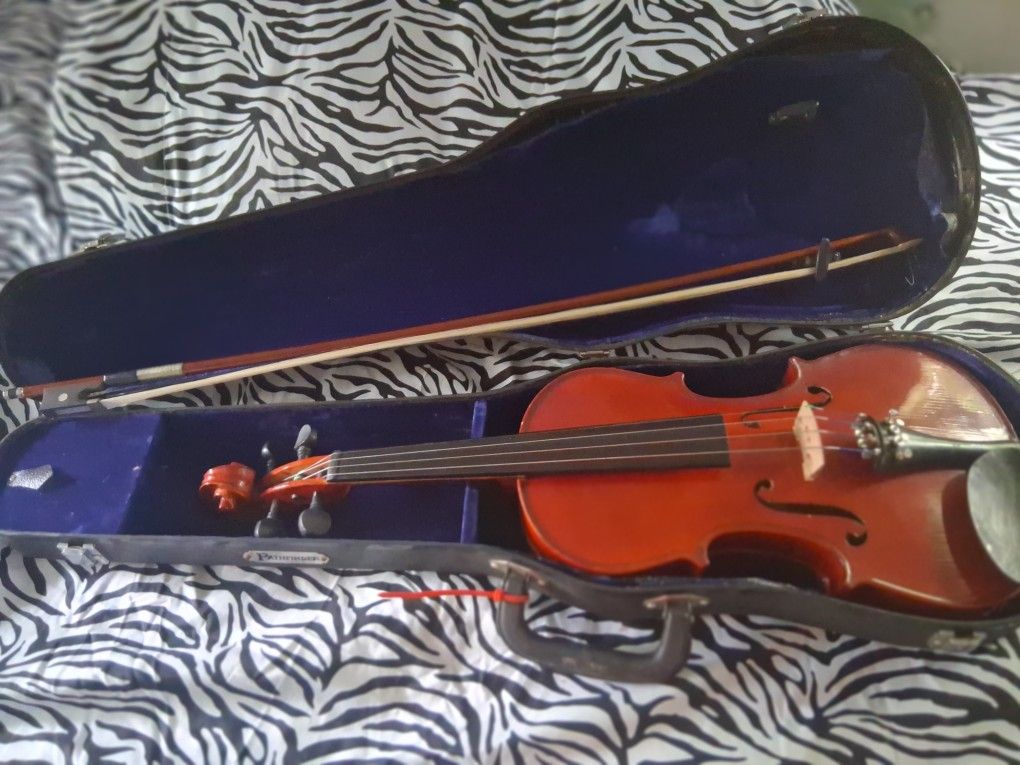 Violin