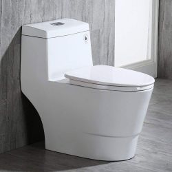B0940/T-0019 Rectangle Button T-0019, Dual Flush Elongated One Piece Toilet with Soft Closing Seat, Chair Height, Water Sense, High-Efficiency