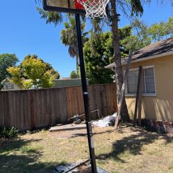 Basketball court