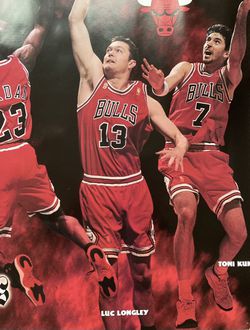 Chicago Bulls Back to Back NBA Champs (1992 NBA Champions) 16x20 Poste –  Sports Poster Warehouse