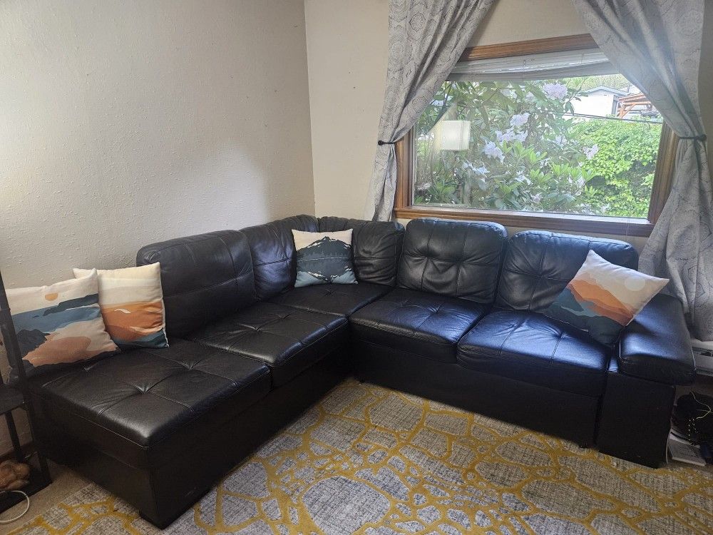 Sectional Couch with pull-out and Storage!