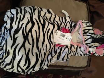 Zebra costume