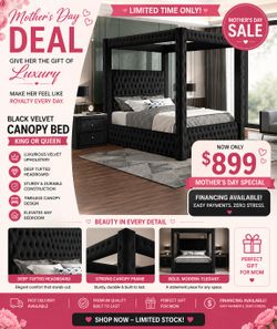 Brand New Elegant Queen Size Tufted Luxury Canopy Bed