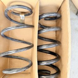  OEM Coil Springs – 2020 Ford Mustang GT (V8)