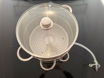 Stainless Steel Steam Juicer with Glass Lid