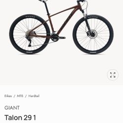 2022 giant talon 1