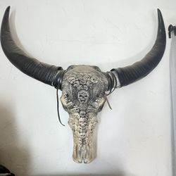 Buffalo Skull Carved 