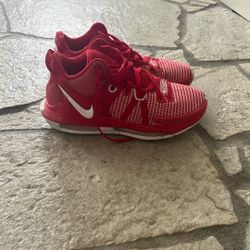 Men’s 8.5 Lebron Witness VII Nike Shoes 