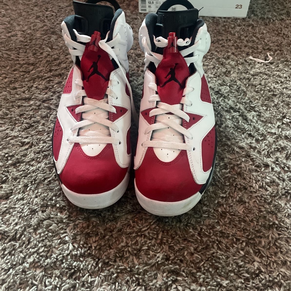 Air Jordan 6 Carmine 