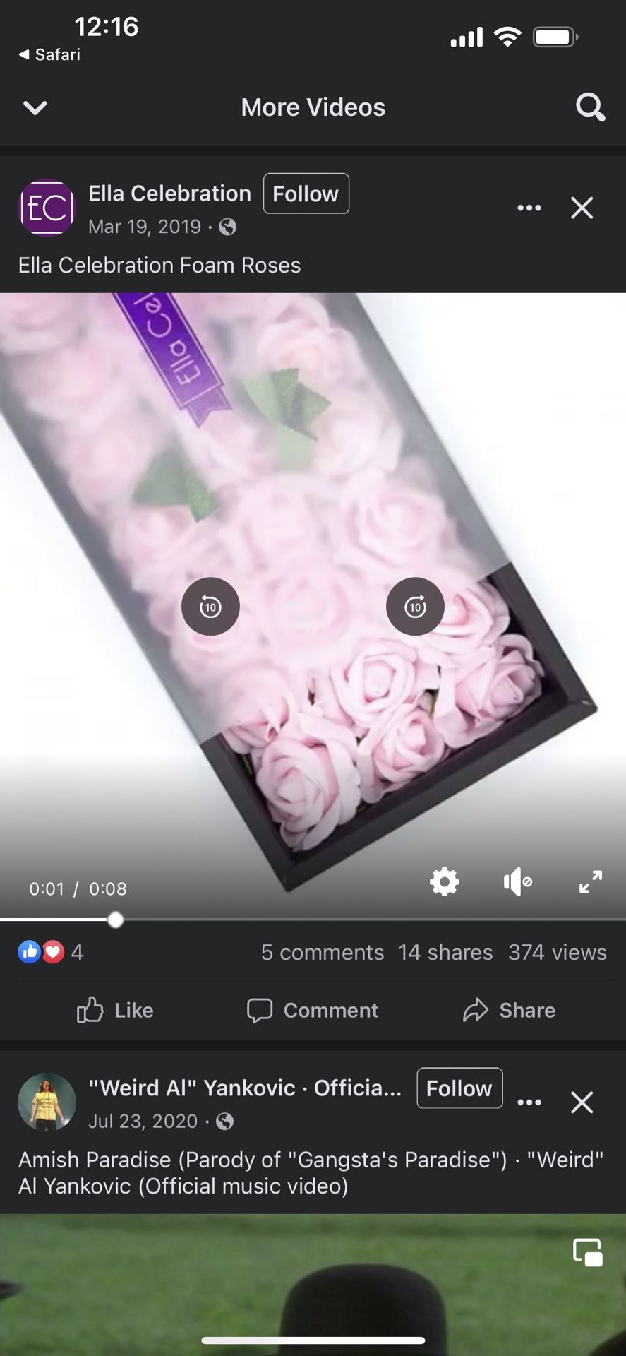 Silk Roses